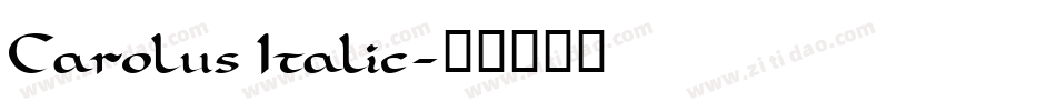 Carolus Italic字体转换